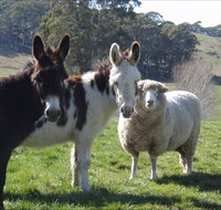 Avaleigh Elms Farmstay - Tourism Canberra