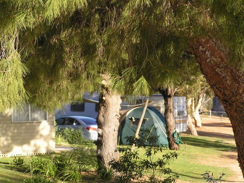 Barmera North Lake Caravan Park - Tourism Canberra 0