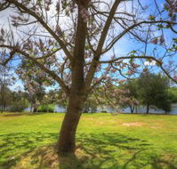Breakaway Twin Rivers Caravan Park - Tourism Canberra