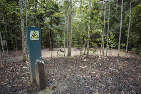 Eungella National Park Camping Ground - Tourism Canberra 2