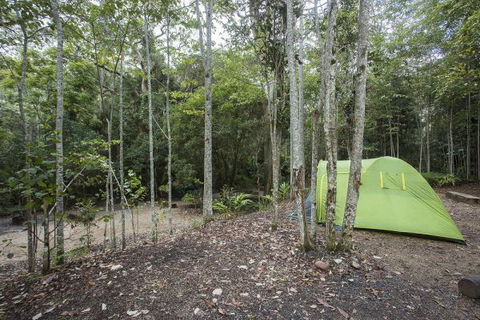 Eungella National Park Camping Ground - Tourism Canberra 3