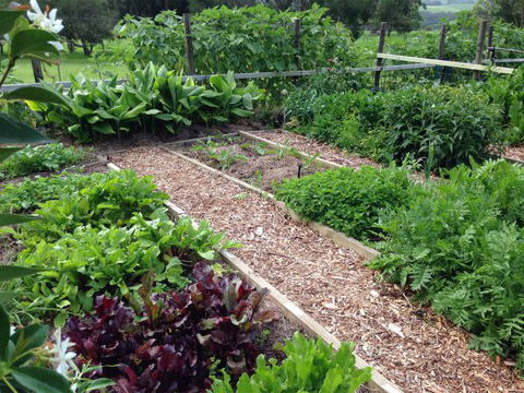 Jamberoo Valley Farm - Tourism Canberra 3