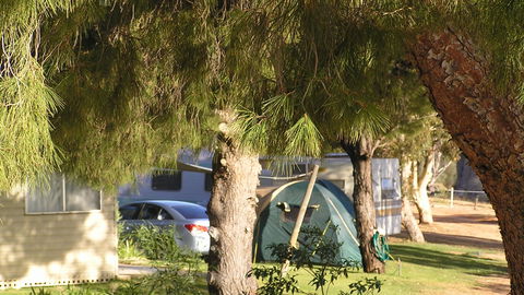 Barmera North Lake Caravan Park - Tourism Canberra 4
