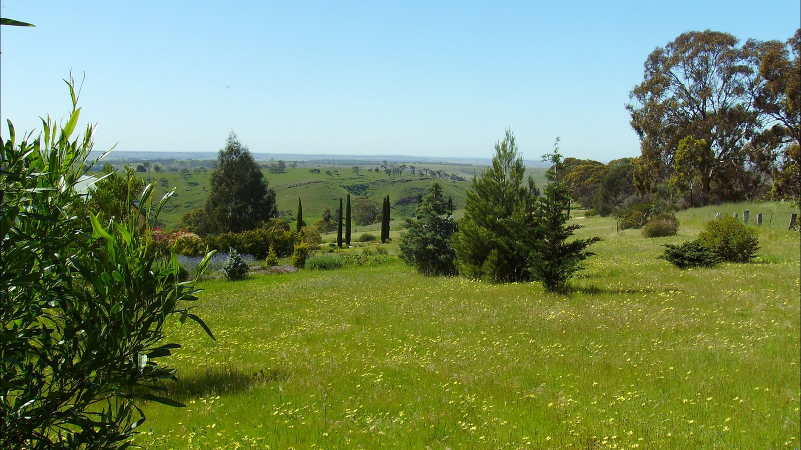 Dawesley SA Tourism Canberra