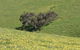 Morella Farm Stay - thumb 9