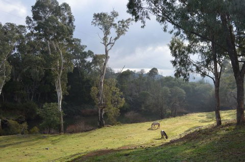 Nug Nug Wah Homestead - Tourism Canberra 2