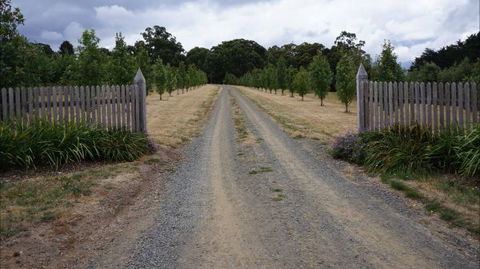 Oakhill Cottage - Tourism Canberra 7