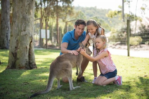 Paradise Country Farmstay - Tourism Canberra 7