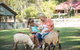 Paradise Country Farmstay - thumb 9