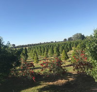 Rutherglen Christmas Trees Farm Stay - Tourism Canberra