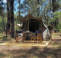 Tall Trees Camping on the Great Ocean Road - Tourism Canberra