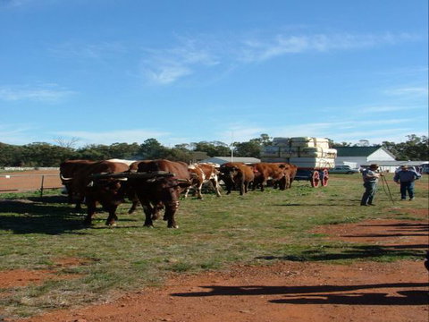 Trundle Showground - Tourism Canberra 1