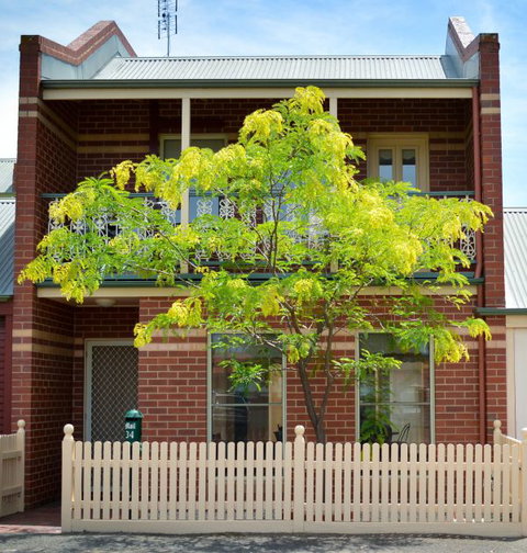 Turner Terrace - Tourism Canberra 0