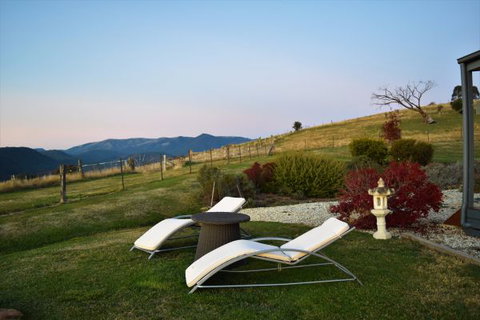 Wild Dog Rise - Tourism Canberra 8