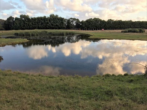 Woodbyne Resort - Tourism Canberra 2