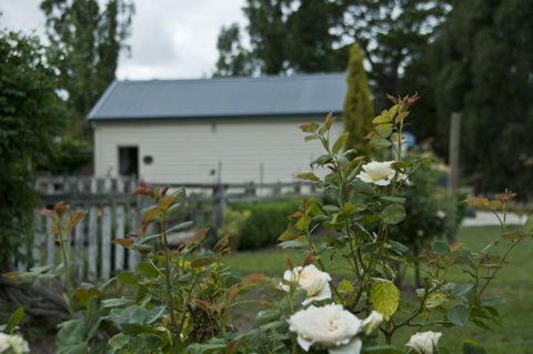Wood Duck Cottages - Tourism Canberra 5