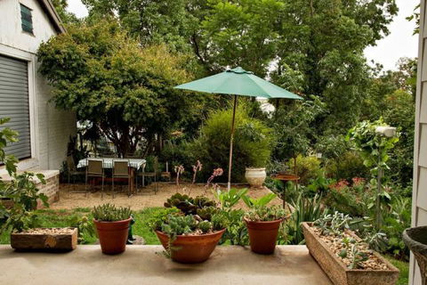 Young Garden Retreat - Tourism Canberra 4