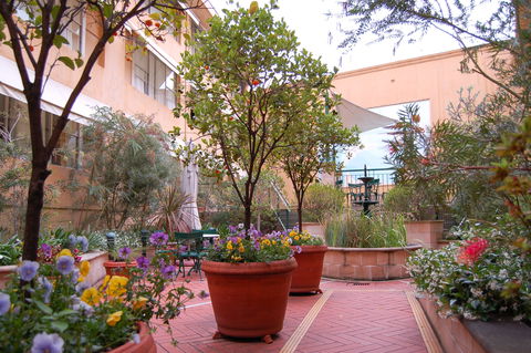 Arts Hotel Sydney - Tourism Canberra 2