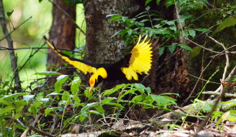 Bellthorpe Stays - Nature's Retreat - Tourism Canberra 4