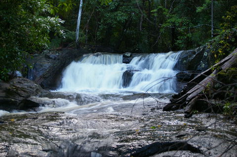 Bellthorpe Stays - Nature's Retreat - Tourism Canberra 5