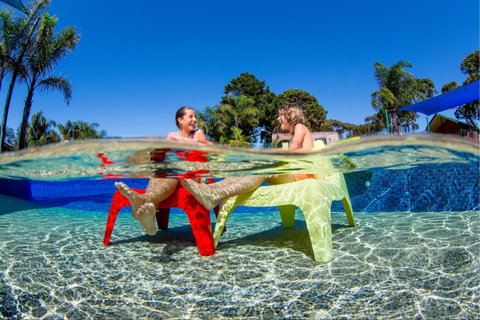 BIG4 Moruya Heads Easts Dolphin Beach Holiday Park - Tourism Canberra 1