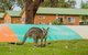 BIG4 Moruya Heads Easts Dolphin Beach Holiday Park - thumb 7