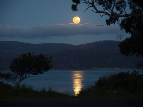 Burilda Waters - Tourism Canberra 4