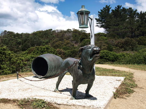 Burilda Waters - Tourism Canberra 8