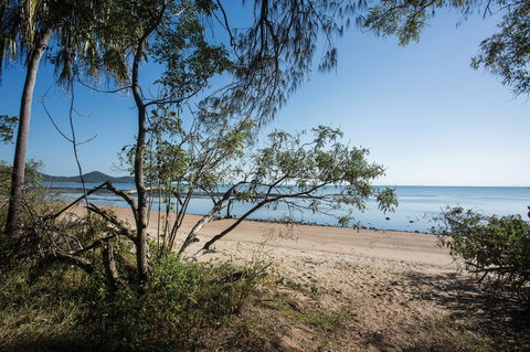 Cape Hillsborough National Park Camping - Tourism Canberra 0