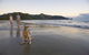 Cape Hillsborough National Park Camping - thumb 1