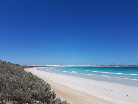Coffin Bay National Park Campgrounds - Tourism Canberra 0