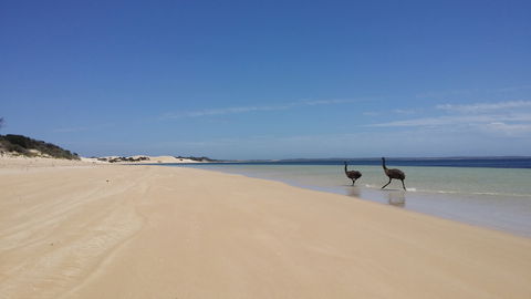 Coffin Bay National Park Campgrounds - Tourism Canberra 3