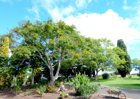 Forest Lodge Highfields - Tourism Canberra 3