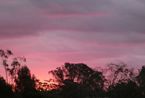Forest Lodge Highfields - Tourism Canberra 4