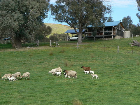 Gaddleen Grove Cottages - Tourism Canberra 0