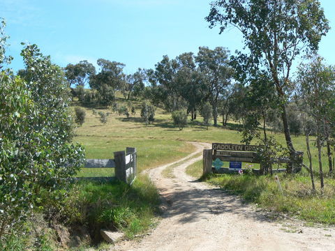 Gaddleen Grove Cottages - Tourism Canberra 3