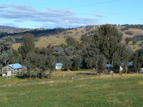 Gaddleen Grove Cottages - Tourism Canberra 7