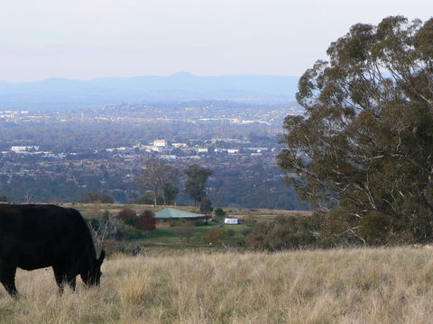 Gaddleen Grove Cottages - Tourism Canberra 8