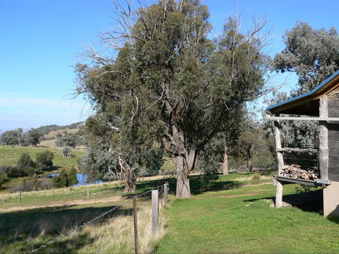 Gaddleen Grove Cottages - Tourism Canberra 9