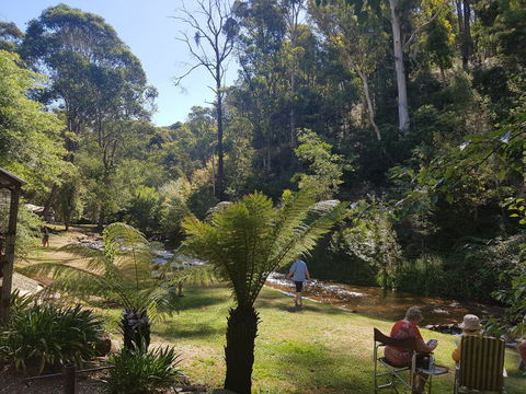 Harrietville Cabins And Caravan Park - Tourism Canberra 7