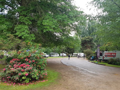 Harrietville Cabins And Caravan Park - Tourism Canberra 8