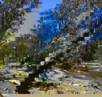 Highfield Farm and Woodland Bush Campsites - Tourism Canberra