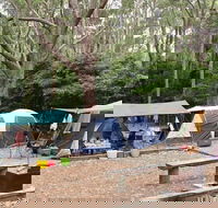 Pebbly Beach campground - Yuraygir National Park - Tourism Canberra