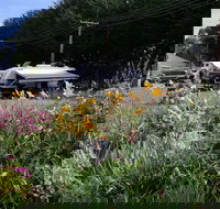 Millicent Showground RV Park - Tourism Canberra