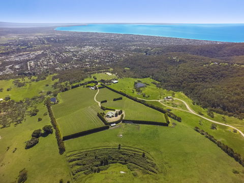Mornington Peninsula Glamping - Tourism Canberra 5