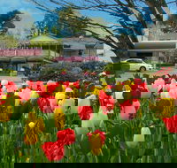 Nesuto Leura Gardens Hotel - Tourism Canberra