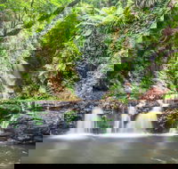 O'Reilly's Rainforest Retreat - Tourism Canberra