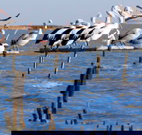 Pelican Perch Retreat - Tourism Canberra