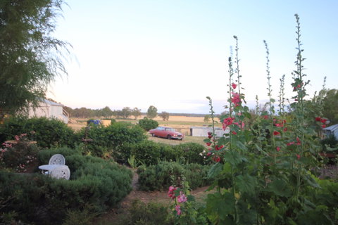 Rostrata Country House - Tourism Canberra 7