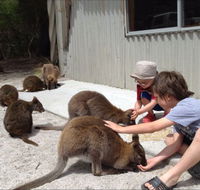 The Patriarch Wildlife Sanctuary Camping Ground - Tourism Canberra